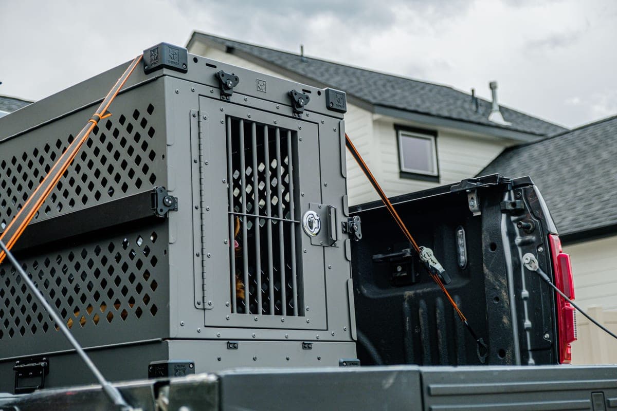 Straps securing a load in the back of a vehicle